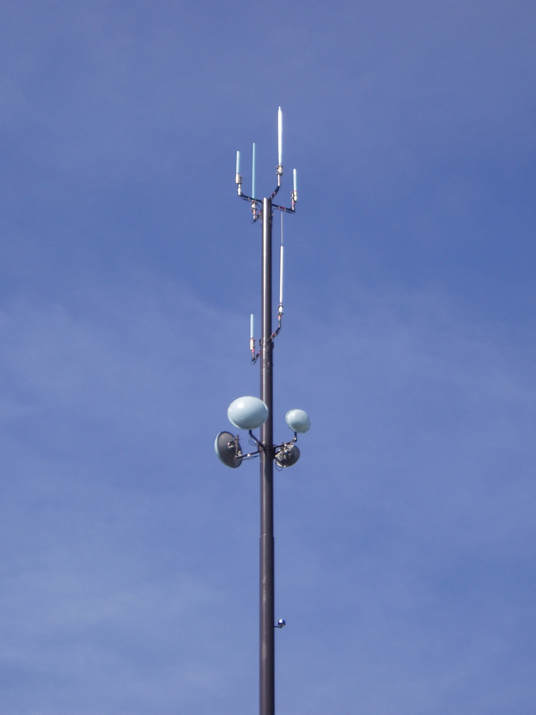 Antenna-Pole